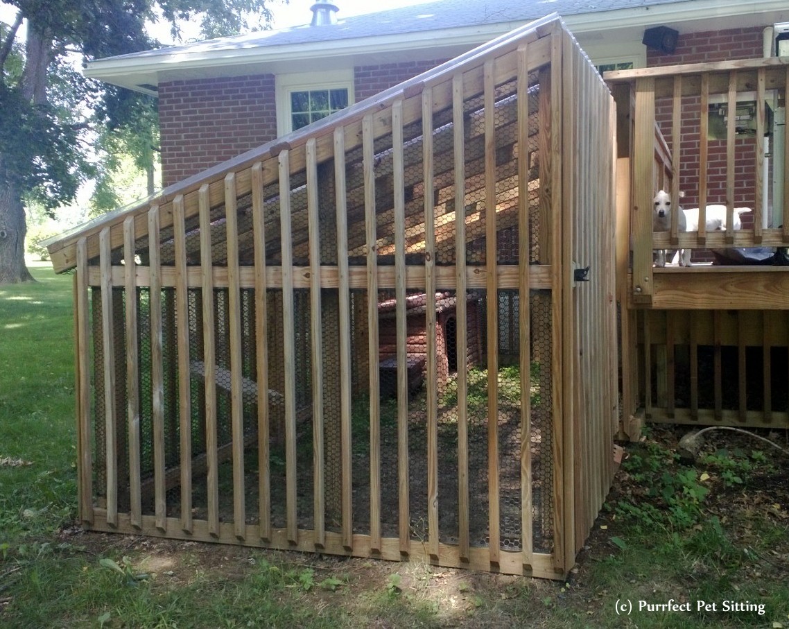 cat enclosure