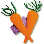 Catnip carrot