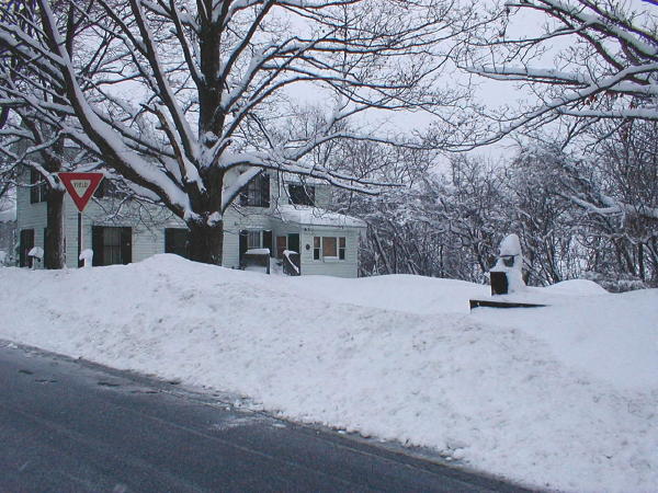 Unplowed driveway