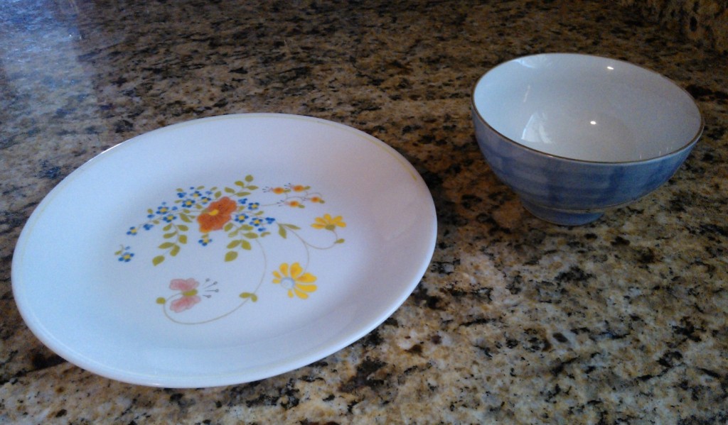 plate and cat food bowl