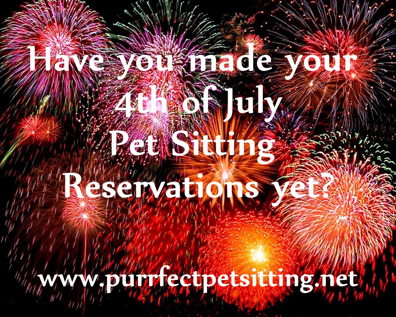 pet sitting fireworks