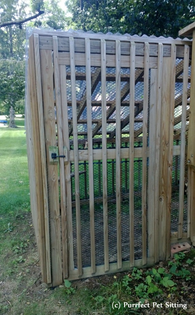 cat enclosure door
