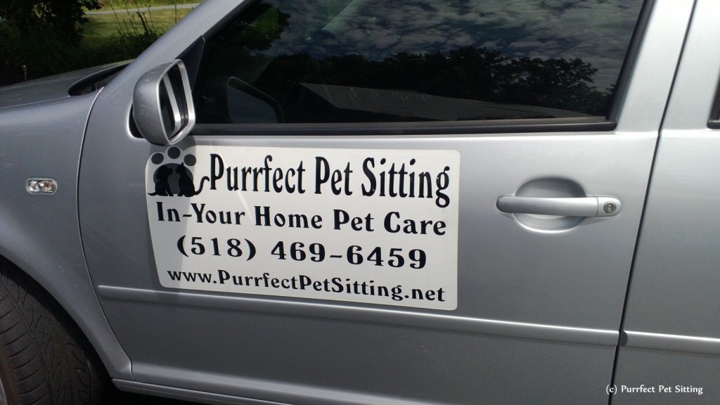 pet sitter vehicle magnet