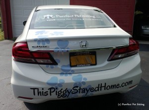 back of wrapped pet sitter car