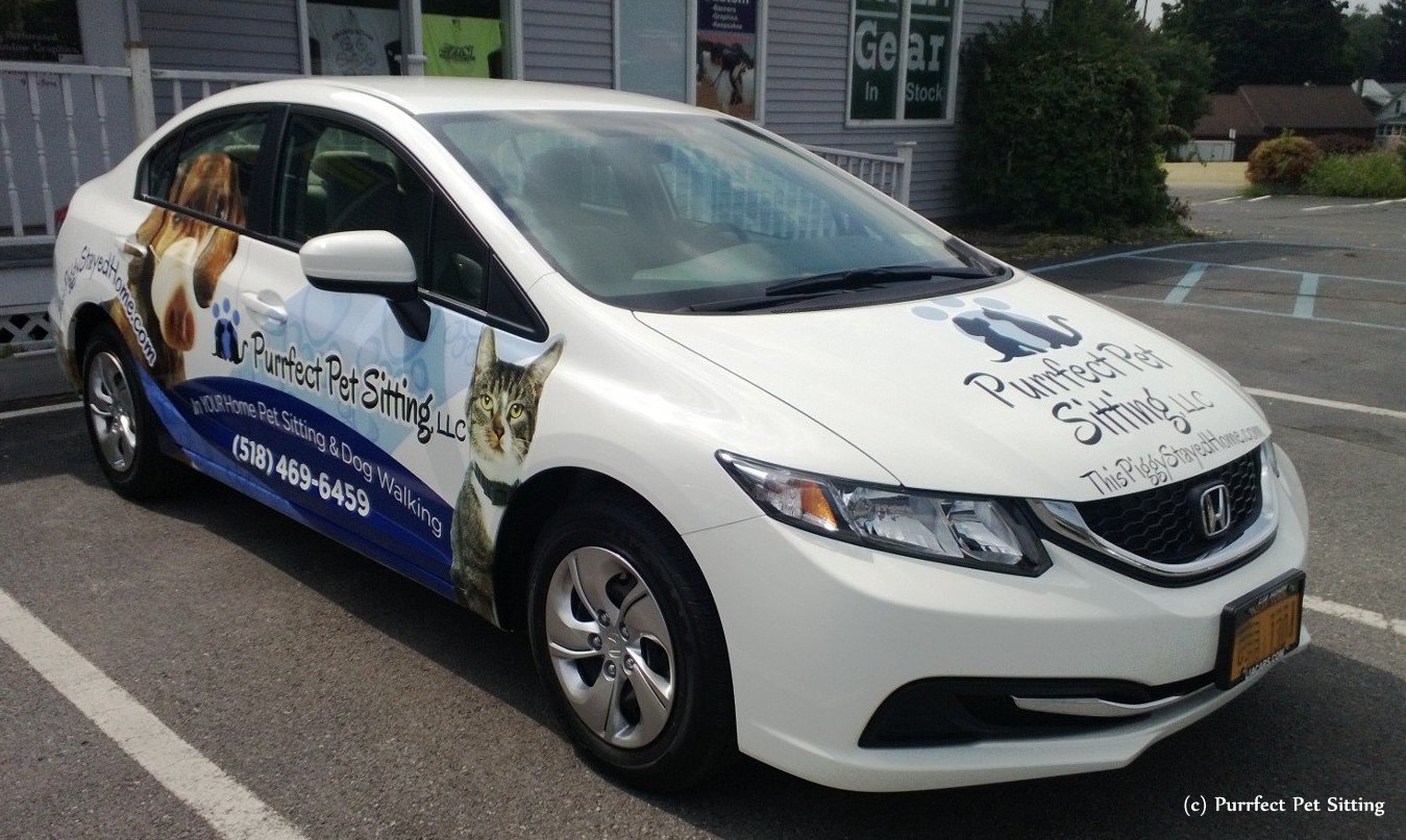 wrapped pet sitter car