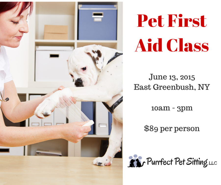 Pet First Aid Class; June 13, 2015, East Greenbush, NY Purrfect Pet Sitting, LLC/East