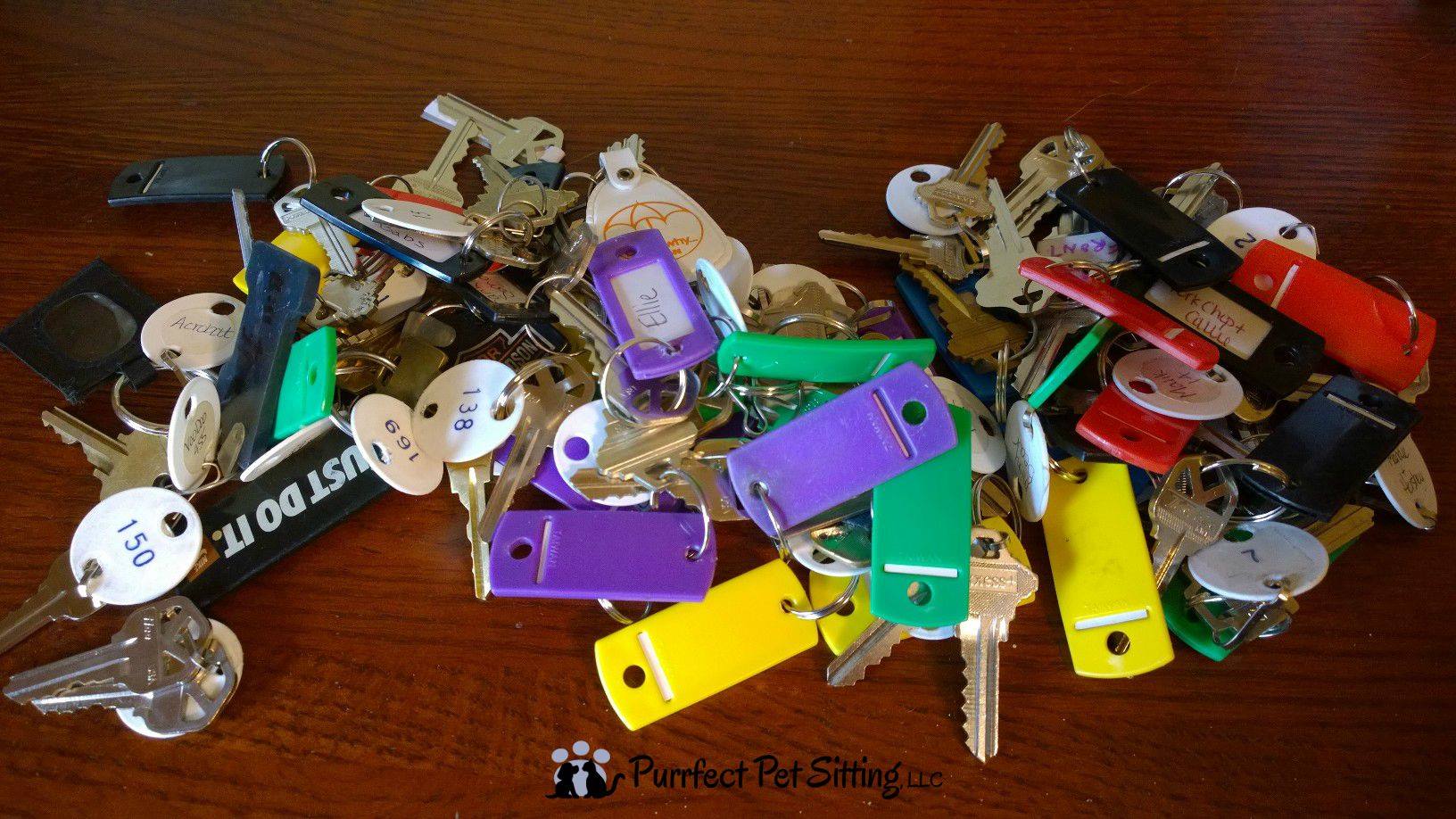 pet sitter keys