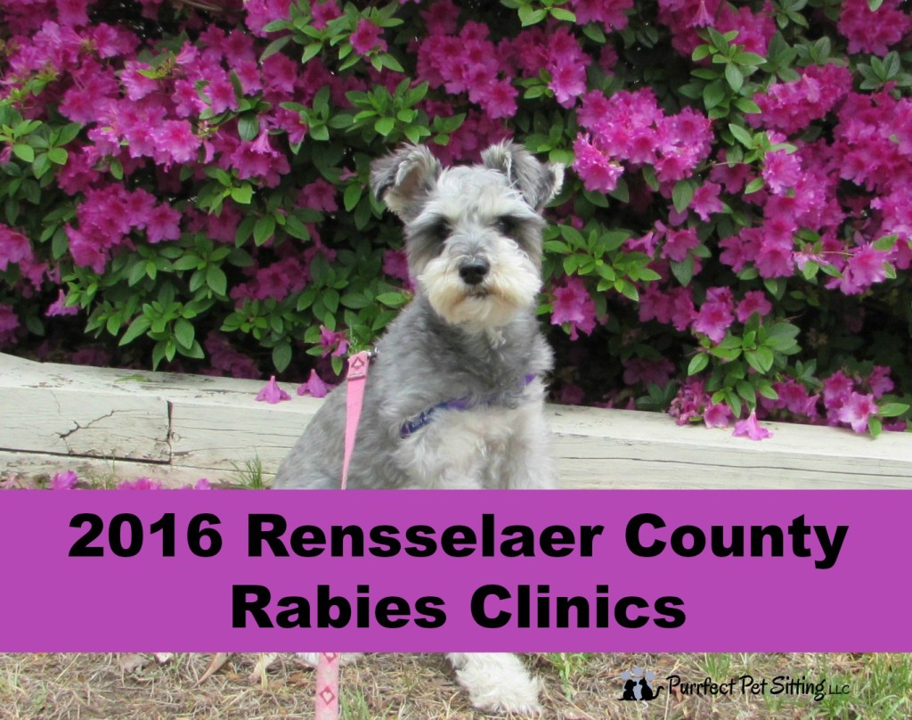 2016 Rensselaer County Rabies Clinics