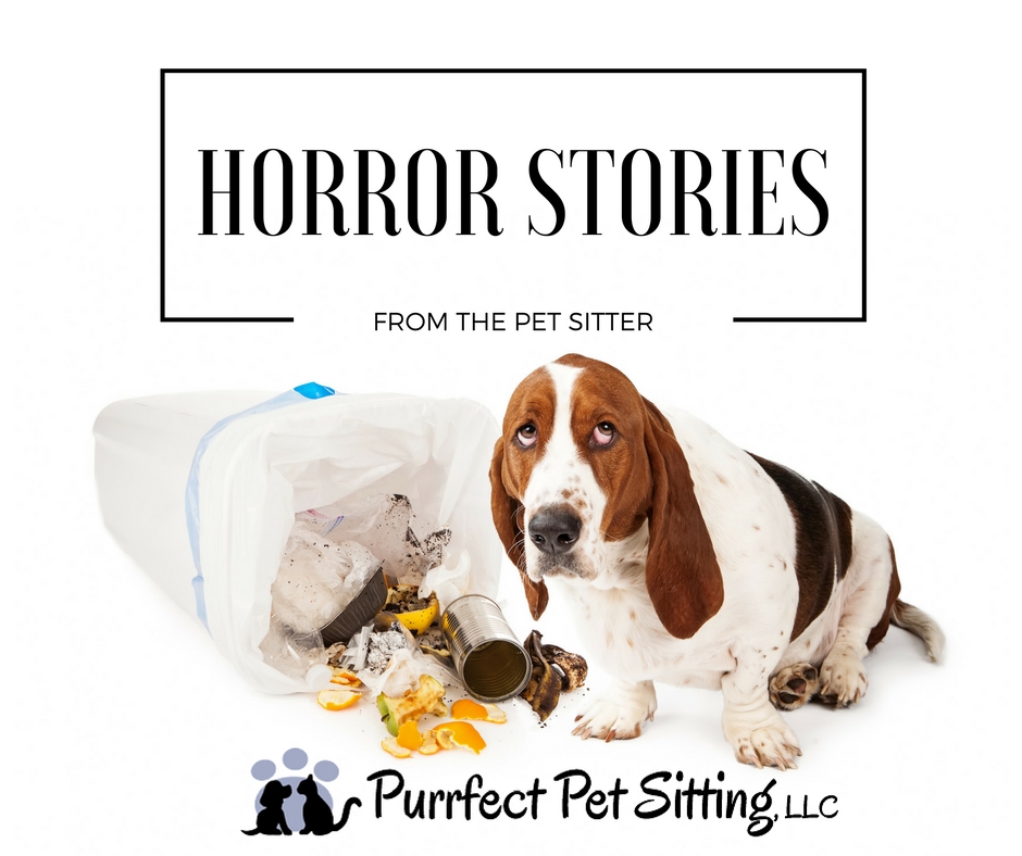 PET SITTER HORROR STORIES