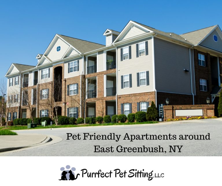Pet Friendly Apartments Near East Greenbush, NY Purrfect Pet Sitting