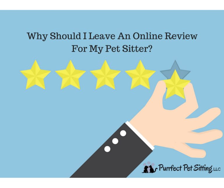 Why Should I Leave An Online Review For My Pet Sitter? Purrfect Pet