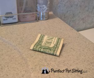 money left on counter