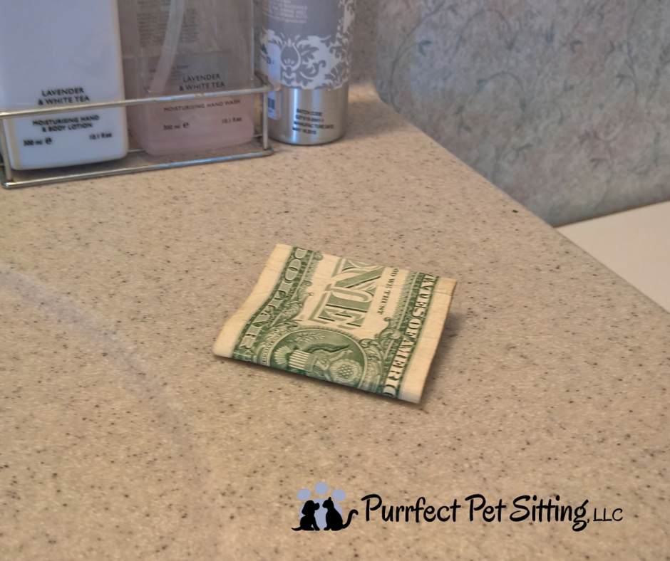 money left on counter