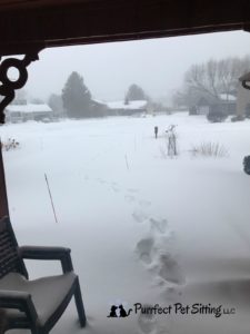 Snowmageddon 2017