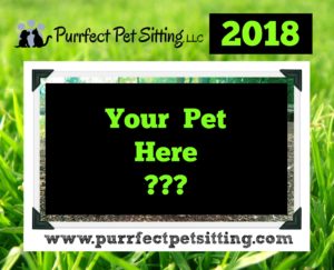 purrfect pet sitting calendar