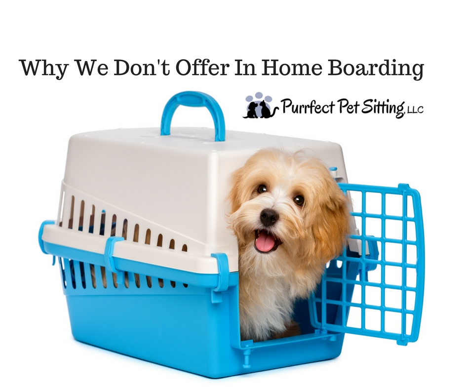 Why We Don't Offer In Home Boarding