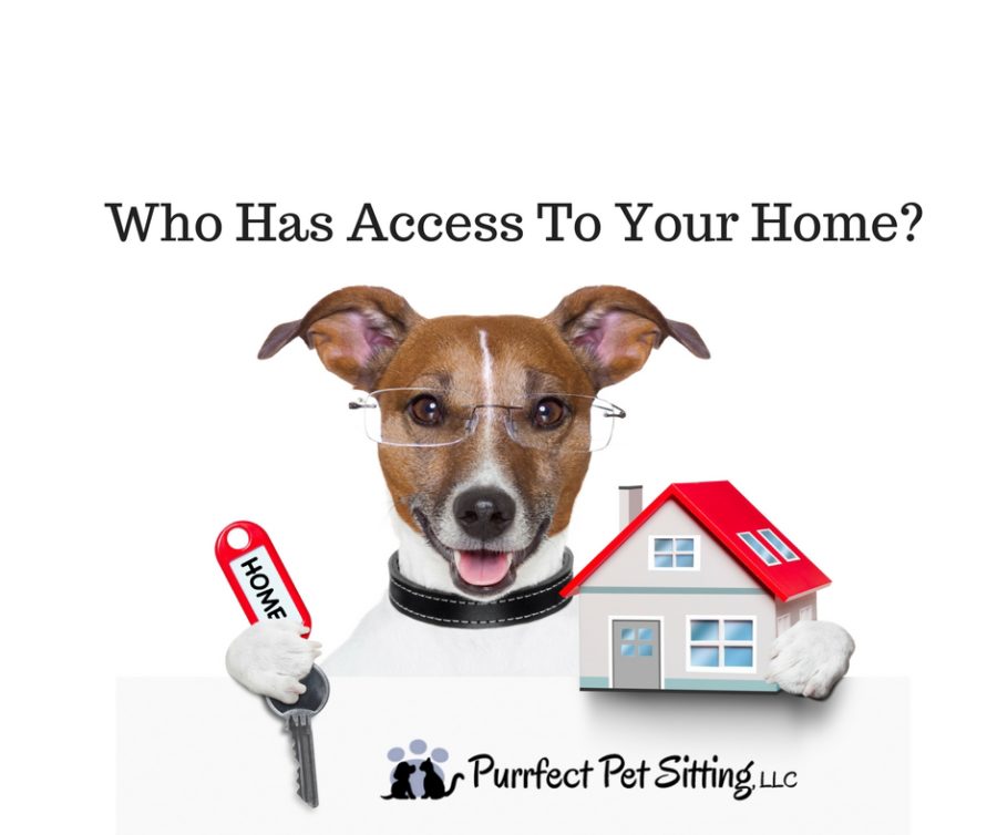 Why Your Pet Sitter Needs To Know Who Has Access To Your House Purrfect Pet Sitting, LLC/East
