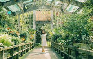 woman in greenhouse