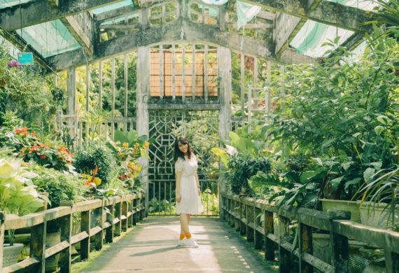 woman in greenhouse